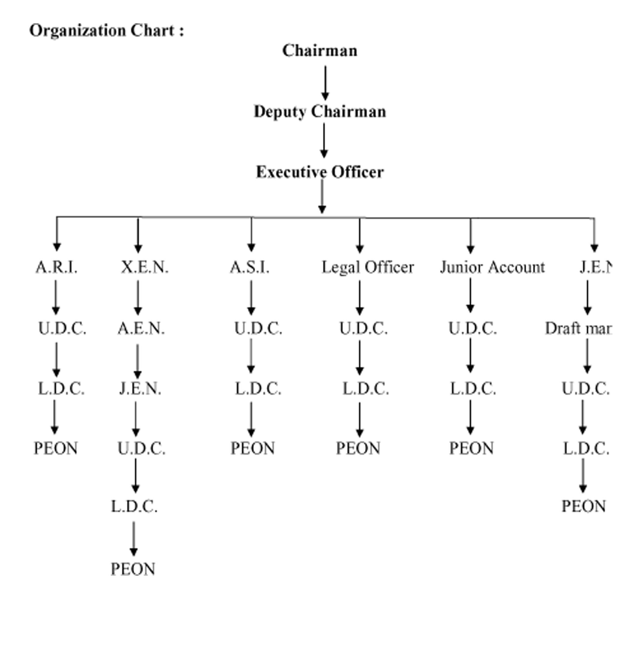 Organizational Chart